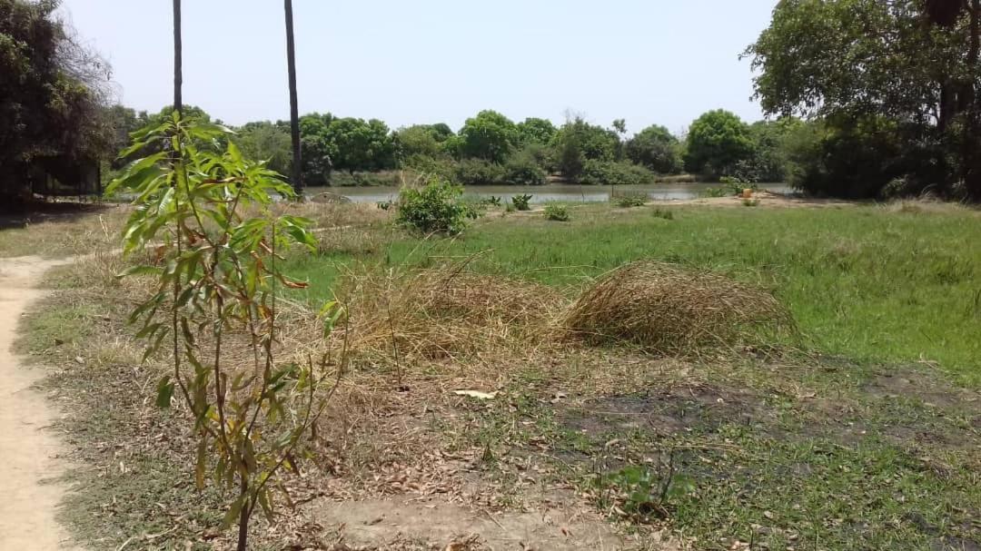 Georgetown Camping Sitaba Lodge מראה חיצוני תמונה